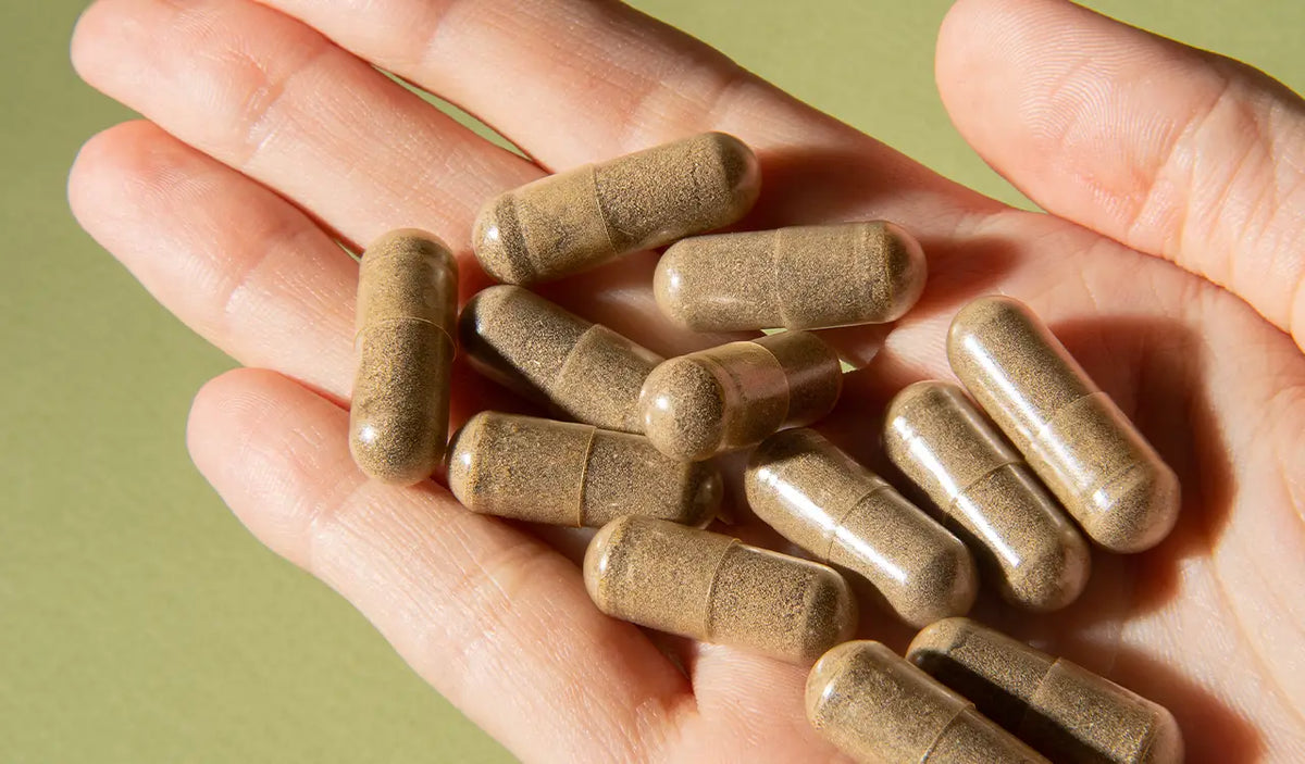 Ashwagandha Benefits: What the Science Actually Says